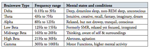 EEG Behavioral Correlates