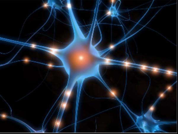 Neuronal Network